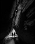 559 - EXPLORING THE GRAND CANYON 15 - WAN YI - china <div